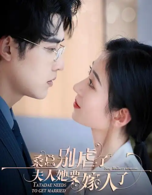 长夜将明 热播电视剧全集在线观看