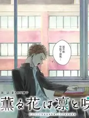 声音实验室 音乐综艺全集免费看